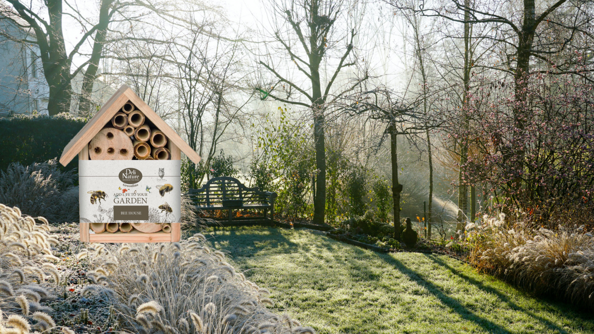 Alles over bijen in de winter met Deli Nature Greenline 