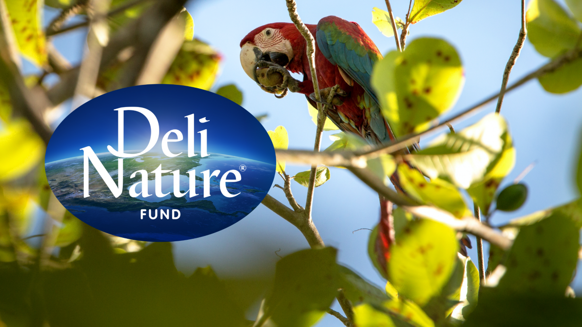 Goede doelen | Deli Nature Fund