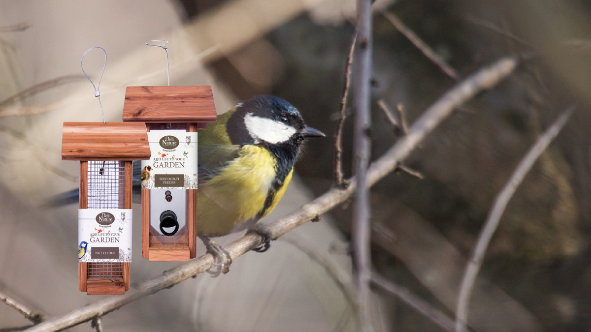 Alles over vogels in de winter | Deli Nature Greenline