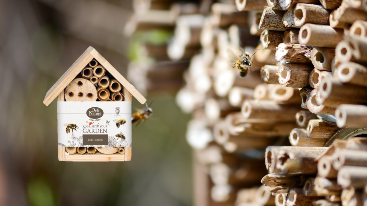 Bijen in de herfst | Deli Nature Greenline