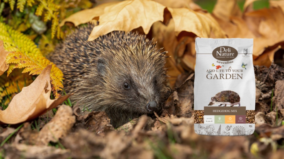 Add life to your garden | Hedgehog Mix