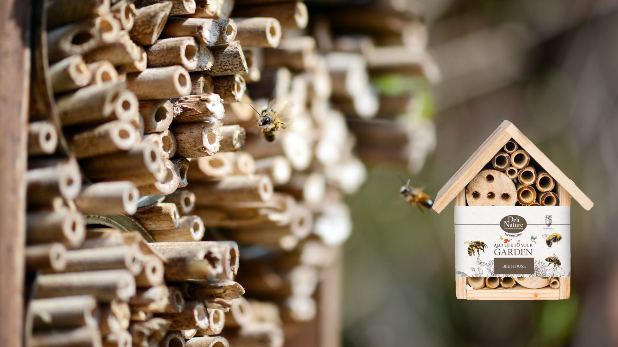 Bijenhotel in de tuin | Deli Nature Greenline
