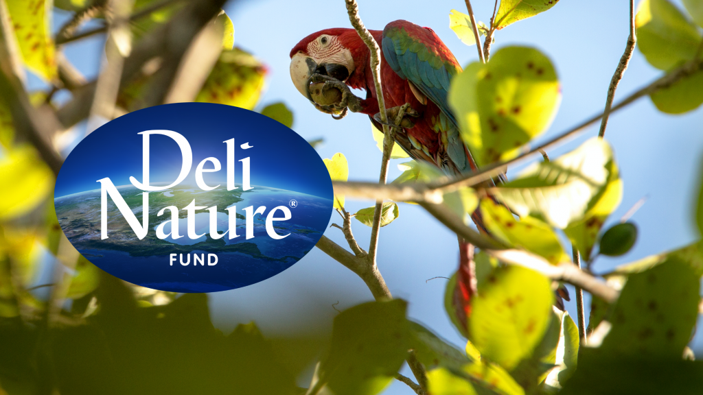Goed doel | Deli Nature Fund